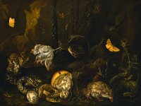 GG 431  GG 431, Otto Marseus, gen. van Schrieck (um 1619-1678), Stillleben mit Insekten und Amphibien, 1662, Leinwand 50,7 x 68,5 cm : Stillleben, Tiere